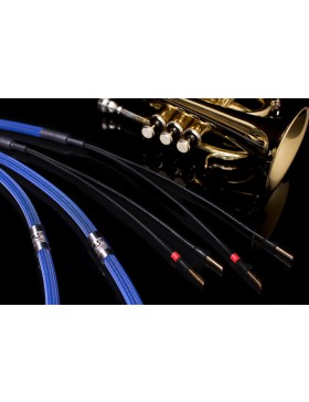 Albedo Blue Cable de Altavoz